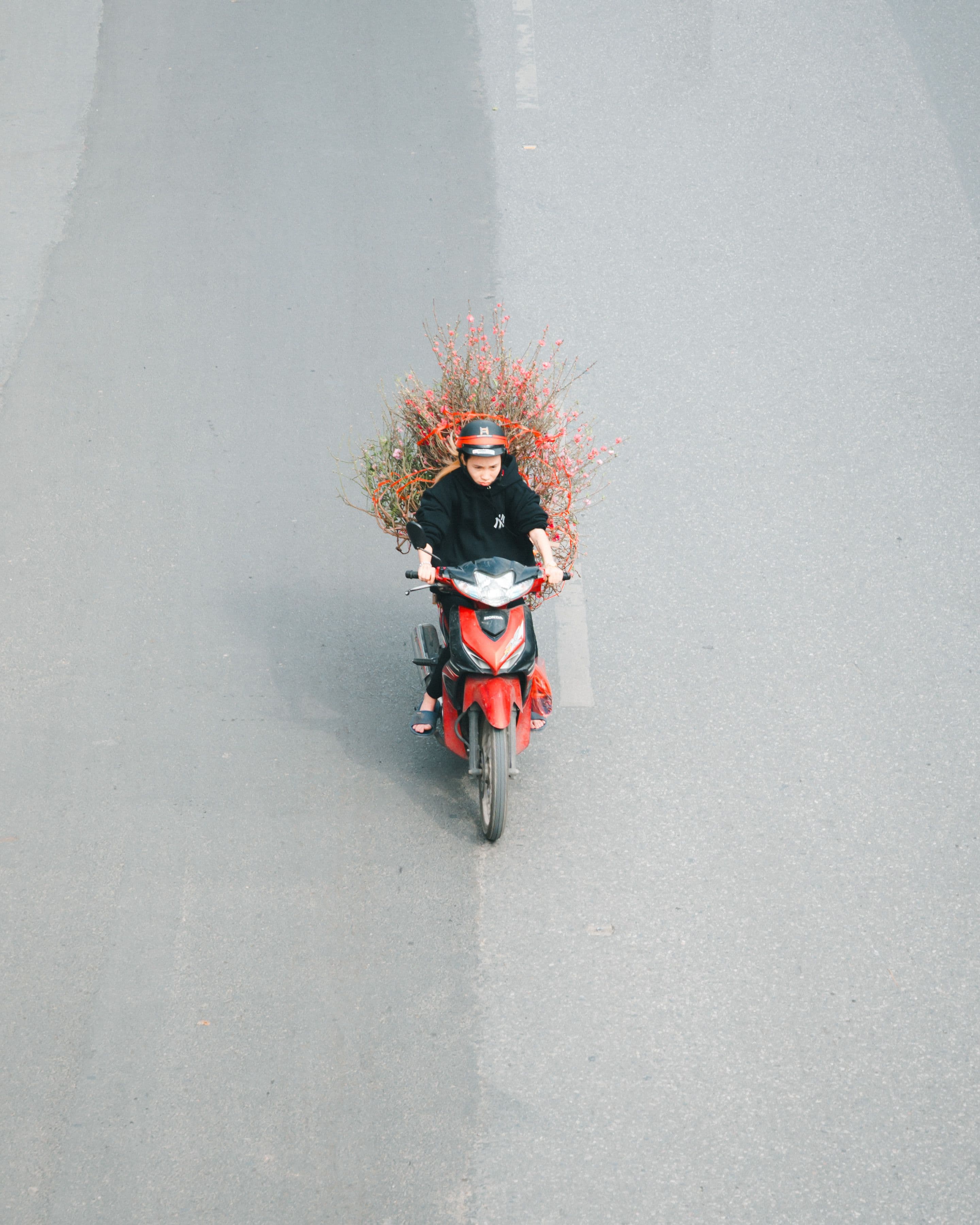 A delivery rider carrying a large bundle of flowering branches on a scooter along an open road.